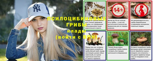 МДПВ Алексин