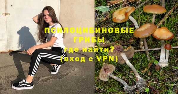 PSILOCYBIN Семилуки